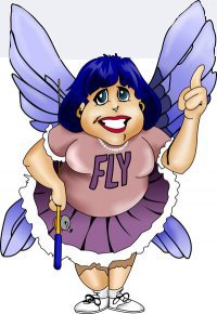 The Flylady