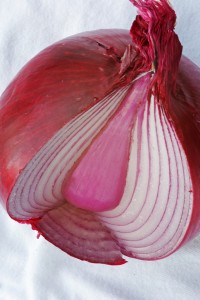 Layers of an onion